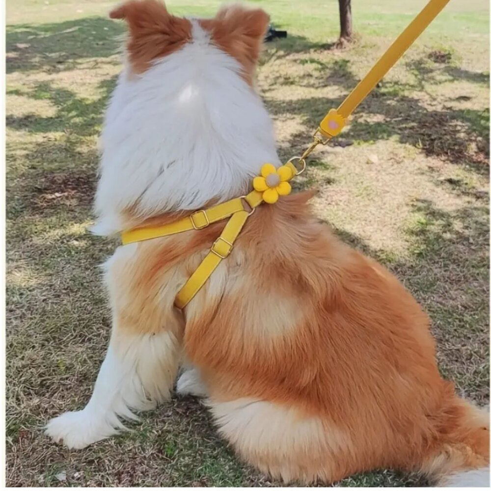 Adjustable Floral Dog Harness with Leash, pet supplies